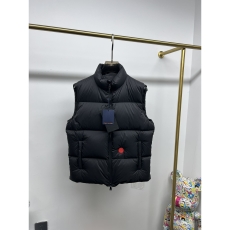 Louis Vuitton Down Jackets